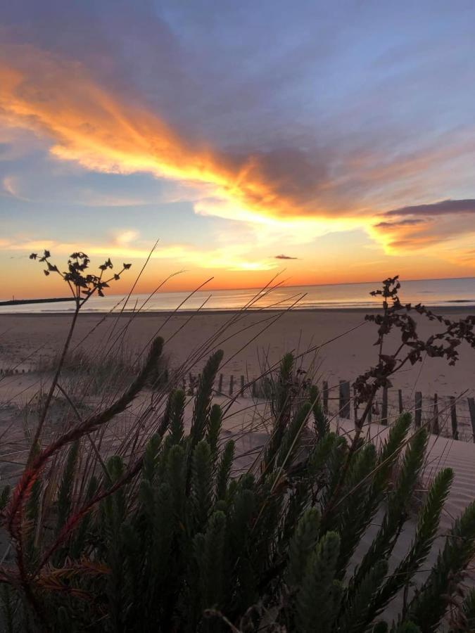 Residence Le Sunset Marseillan-Plage, Entre Mer Et Lagune De Thau, Etape Velo, Famille, Couple, Vrp, Toutou Admis, Jardin, Parking Prive Gratuit, Velos, Clim, Wifi Fibre Gratuite, Commodites, Plage Et Piste Cyclable A Proximite, 6 Couchages Nous Cont المظهر الخارجي الصورة